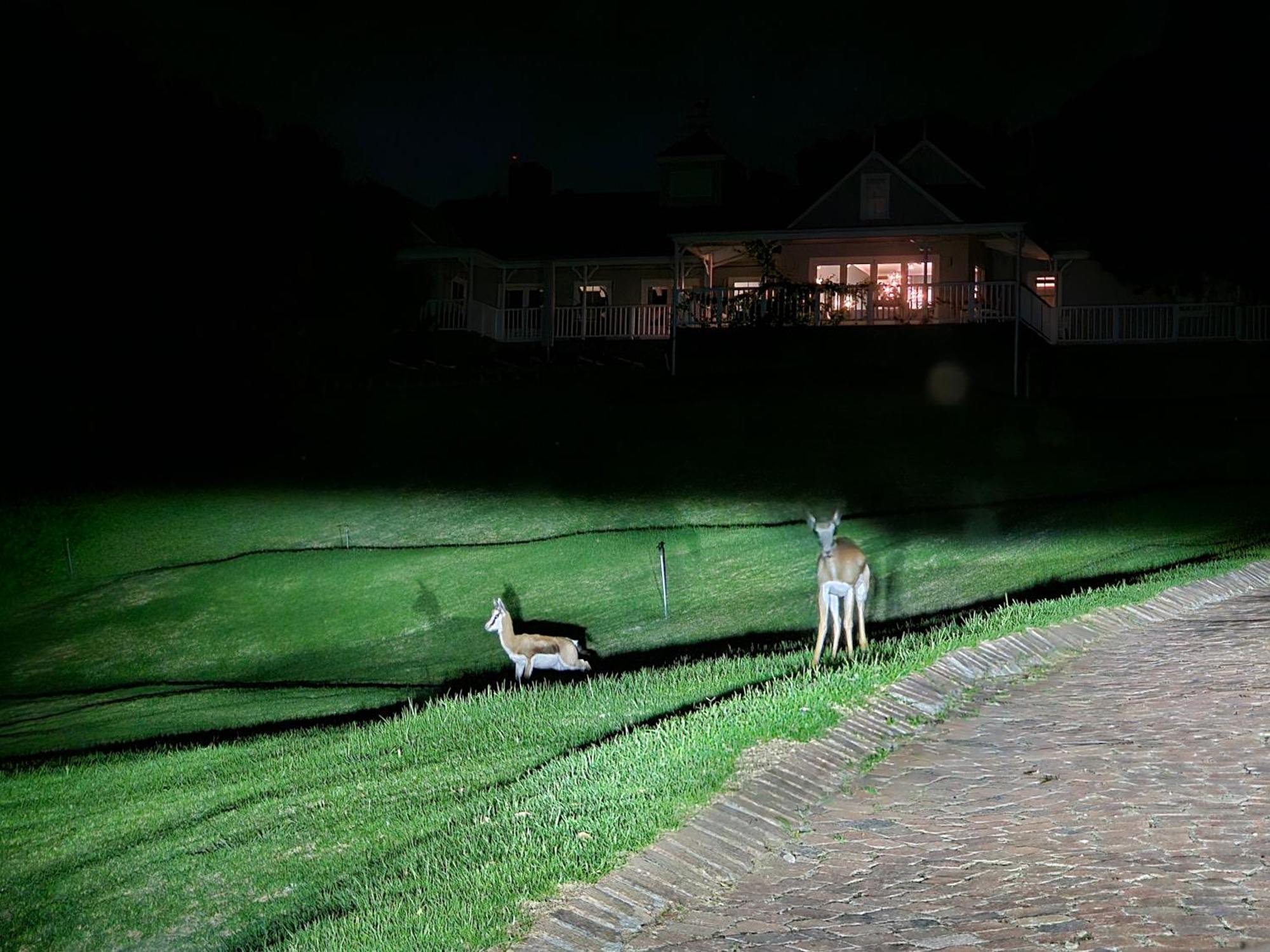 Die Heerenhuys Guest Suites Stellenbosch Eksteriør billede